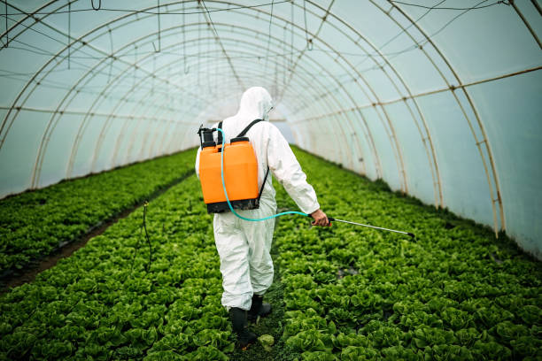 Best Local Pest Control Services  in North Myrtle Beach, SC