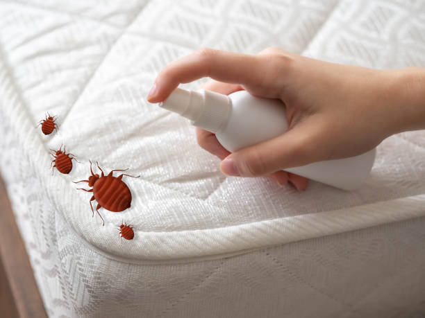 Pest Prevention Services in North Myrtle Beach, SC