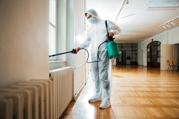 Best Pest Control Near Me in North Myrtle Beach, SC