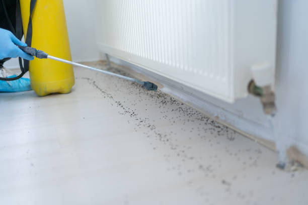 Wildlife Control Services in North Myrtle Beach, SC